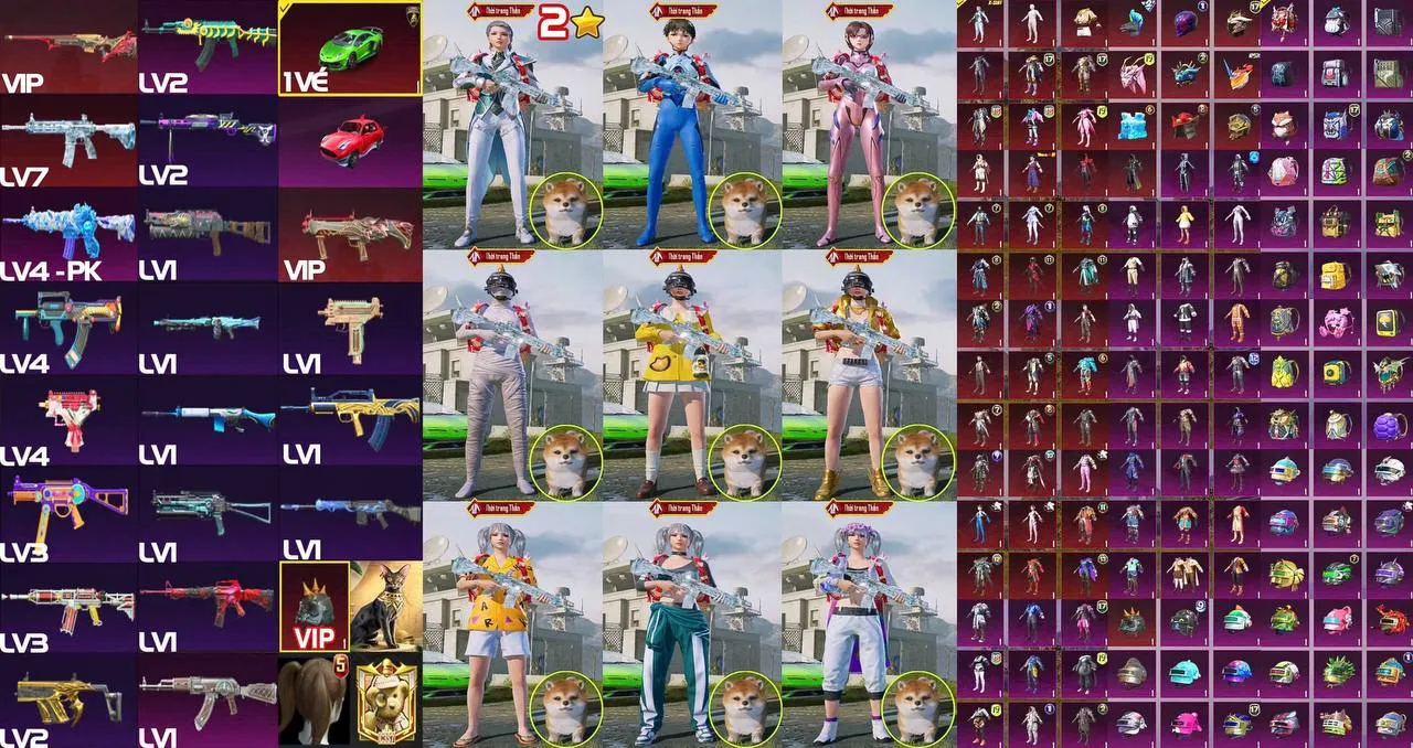 DONG